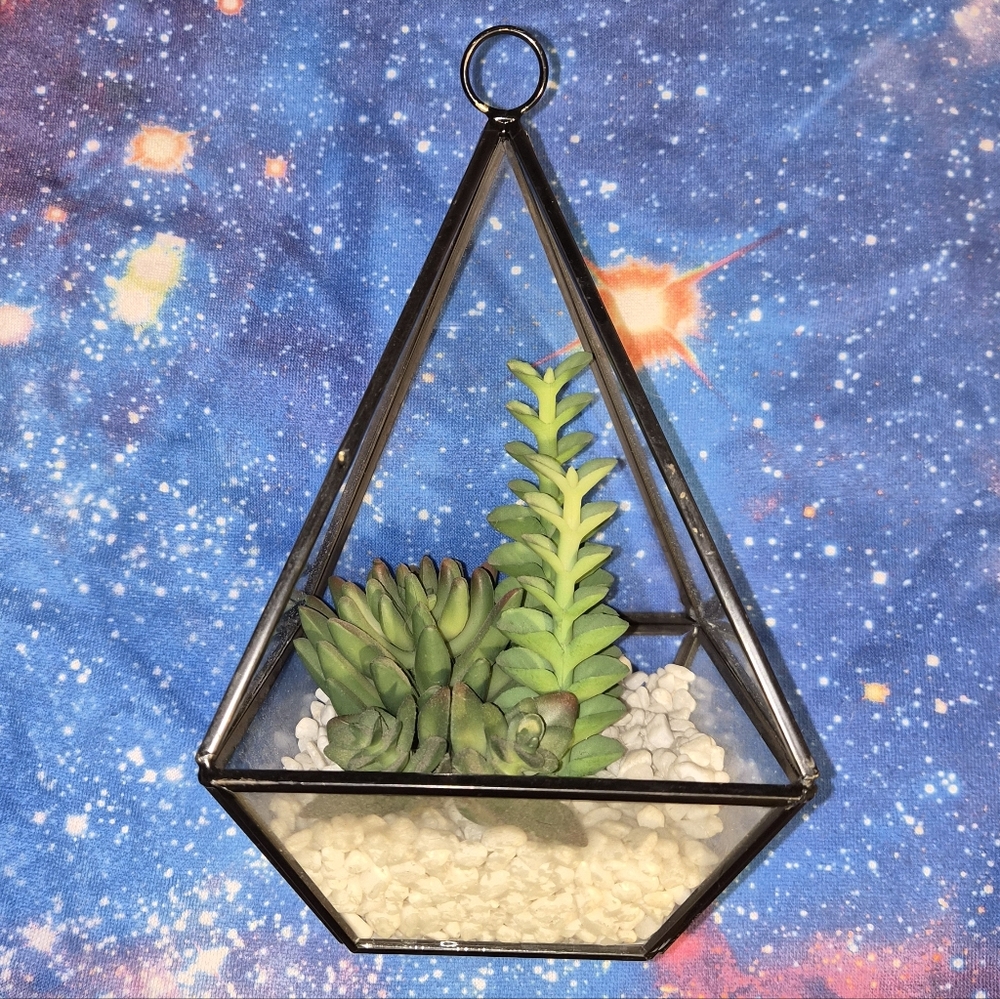 Geometric Terrarium with Succulents